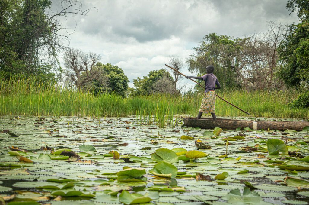 A boy in a canoe in a swamp in South Sudan